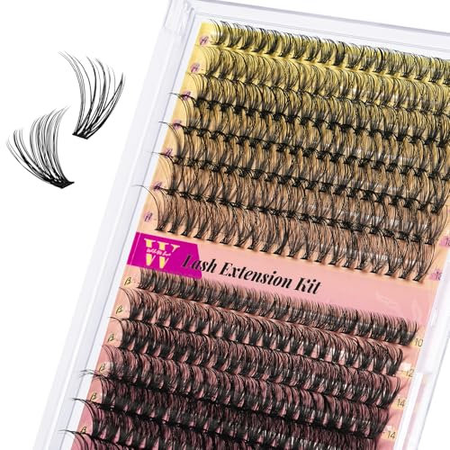 Faisceaux de cils Wispy 300PCS Cils en grappes 30D 40D Cils en grappes 9-16mm Extensions de cils en grappes Cils individuels Cils doux Cils en grappes avec bande fine Faux cils (D-Mix9-16mm)