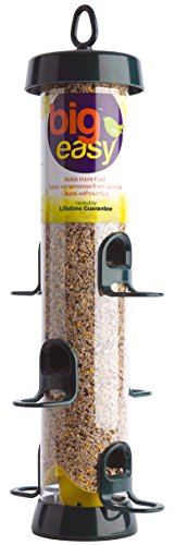 Vogelfutterspender zum Aufhängen für kleine Vögel – Jacobi Jayne® Bigeasy™ kleine Samenvogel-Futterspender für Wild- und Gartenvögel – Eichhörnchenresistente Vogelfutterstation mit integriertem