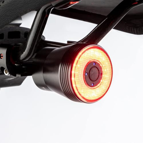 Fahrrad Smart Rücklicht, Bremsaktiviertes Rücklicht, Auto ON/Off, USB-C Aufladbar Batterie, LED Fahrradlichter für Kinder und Erwachsene, Fahrradlicht Hinten IPX6 Wasserdicht für Rennrad, MTB, E-Bike