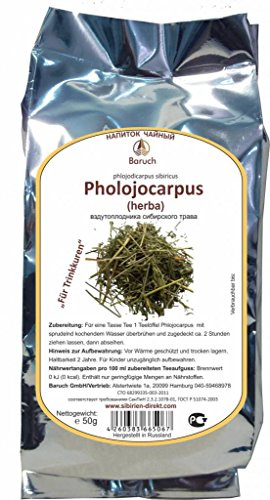 Phlojodicarpus - (Phlojodicarpus sibiricus) - 50g