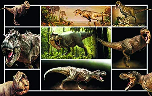 3 D Platzset Dinosaurier, 2erSet, Tischset, T Rex, Tier Tiere, Tyrannosaurus, schwarz
