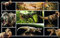 3 D Platzset Dinosaurier, 2erSet, Tischset, T Rex, Tier Tiere, Tyrannosaurus, schwarz