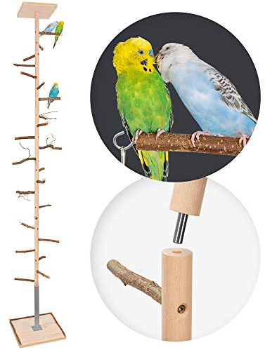 Vogelgaleria® Zimmerhoher Vogel-Kletterbaum 286-288 cm HiFly Basic mit Naturholz-Sitzstangen Vogelspielzeug Vogelspielplatz Freisitz Freiflug Landeplatz für Wellensittich Nymphensittich