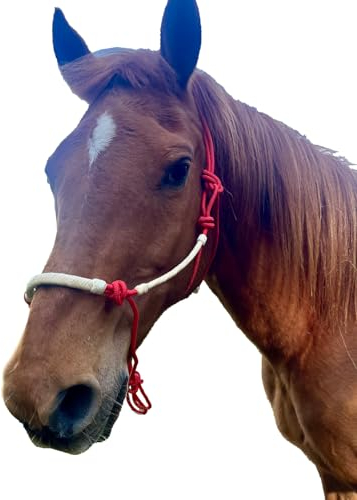 Brama West Knotenhalfter Pferd Smart Control mit Rohhautüberzug Pferdehalfter (Rot, Cob)
