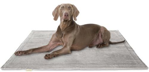Knuffelwuff Hundedecke Timor 120x80cm Hellgrau - Bequeme und Pflegeleichte Liegedecke aus weichem Cord - waschbar - für große, mittelgroße und kleine Hunde