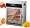 Essiccatore per alimenti per carne secca, frutta, erbe aromatiche, essiccatore in acciaio inox da vassoi, controllo della temperatura, essiccatore per frutta, libro di ricette incluso,12-Trays
