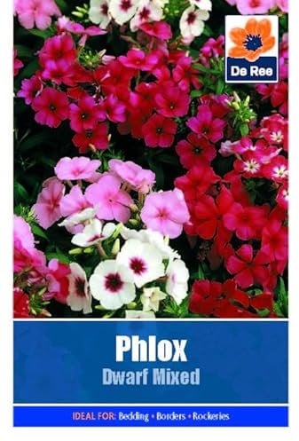 Phlox Dwarf Mixed - 55 Seeds Flower Plant Bedding Borders Containers Pots Grow Your Own Garden Plant Seed
