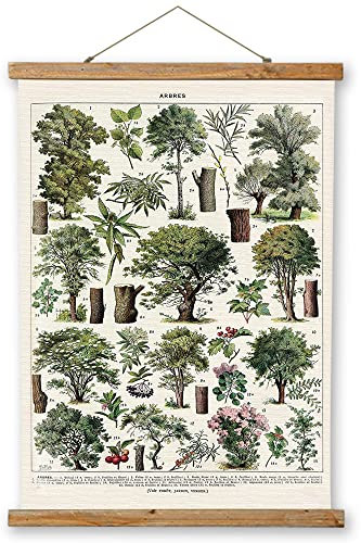 Vintage Hanging Poster, Christmas Trees Poster Hanger Frame, Retro Style of Botanical Wall Art Prints, Printed on Linen with Wood Frames, Ready to Hang