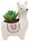 wan chang you Sukkulententententopf, 11,4 cm, Alpaka-Form, Keramik, Sukkulenten, Kaktus, Blumentopf, Übertopf für Zuhause, Garten, Büro, Dekoration (Pflanze nicht im Lieferumfang enthalten) (weiß)