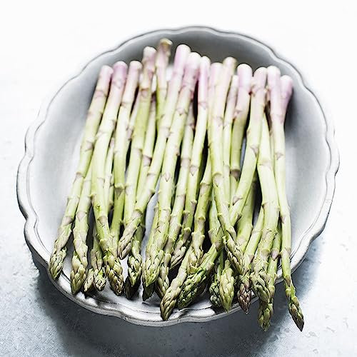 100 Pezzi Semi Di Asparagi Selvatici - Semi Di Asparagi - Semi Di Ortaggi Vecchie Varietà (Asparagi Officinali) Perenne Resistente Al Suolo Piante Rare Semi Organici Piante Rustiche