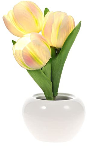 HOMSFOU Tulpenlaterne Blumenlicht Am Bett Tischlampe Mit Blumen Akku-tischlampen Künstliches Para Baum Nachtlicht Bonsai Beleuchteter Baum Led- Tischlampe Mädchen Plastik Ohne