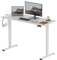 SANODESK Electric Standing Desk Height Adjustable Standing Desk Sit Stand Desk Adjustable Desk Stand Up Desk for Home Office