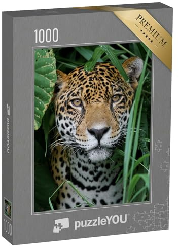 puzzleYOU: Puzzle 1000 Teile „Jaguar im Amazonas-Dschungel“ – aus der Puzzle-Kollektion Jaguar, Tiere in Dschungel & Regenwald