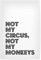 artboxONE Poster 30x20 cm Typografie Nicht Mein Zirkus - Bild polnisches Sprichwort Humor lustig