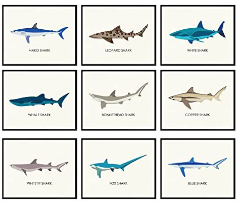 97 Decor Wal-Hai-Poster – Hai-Dekoration für Jungenzimmer, Meeresleben, Hai-Bilder, Wandkunst, Vintage-Haie, Wissensdrucke, Meerestier, Kinderzimmer, Dekoration (20.3x25.4 cm, ungerahmt)