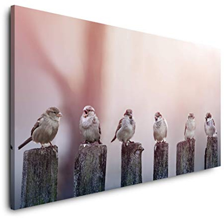 Vögel auf Holzstämmen 120x 60cm Panorama Leinwand Bild XXL Format Wandbilder Wohnzimmer Wohnung Deko Kunstdrucke