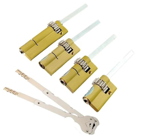 Noyau de serrure spécial for cylindre de serrure automatique à empreintes digitales, avec engrenage, noyau de classe C, 2 clés, noyau de serrure d'urgence de porte, 1 pièce(52mm square rod,10 gears)