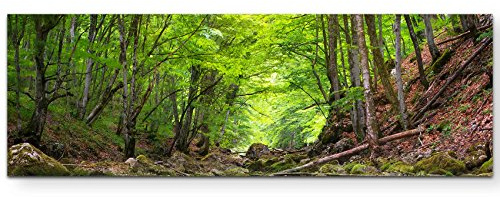 Paul Sinus Art Leinwandbilder | Bilder Leinwand 120x40cm Fluss tief im Wald