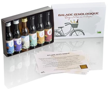 Coffret Cadeau – Lot 6 Vins de France bio - Dégustation Vin Rouge/Blanc/Rosé - Coffret Cadeau Gourmet et Plaisir - 6 x 40 ml - Balade œnologique – Bordeaux – Bourgogne – Alsace