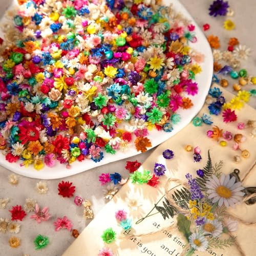 720 Stücke Trockenblumen zum Basteln Trockenblumen Getrocknete Blumen Deko Set Seife Selber Machen DIY Kerzen Gießen Zubehör Nagelkunst Handyhülle Schmuck Ohrringe Getrocknet (Farbmischung)