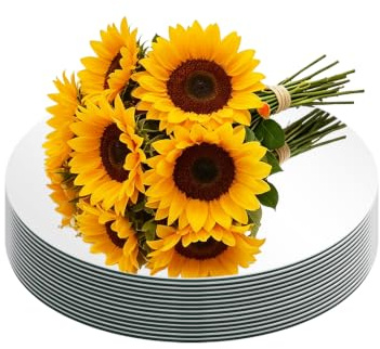 10 Pack Round Mirror Centerpieces for Tables Decorations, 12inch Acrylic Circle Mirror Centerpieces Mirror Trays Candle Plates for Centerpiece Wedding Party Table Decorations Wall Decor