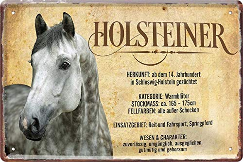 WOGEKA ART Retro Blechschild - Holsteiner Pferd Steckbrief - witziger Spruch als Geschenk-Idee zum Geburtstag Weihnachten zur Dekoration 20x30 cm Vintage-Design aus Metall 485
