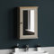 Vida Designs Priano Armoire de salle de bain à une porte miroir à fixation murale, gris, Bois d'ingénierie, Grey Bathroom Mirrored Door Cabinet
