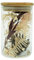 HEITMANN DECO Trockenblumen in Flasche, Natur/grün, 10x10x15 cm