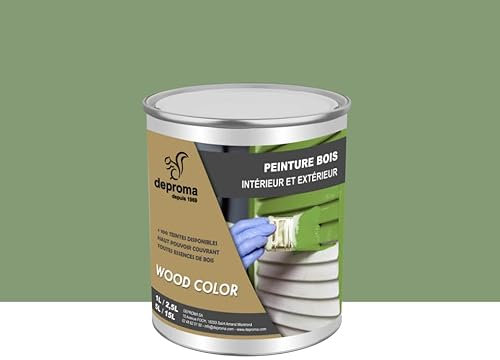 DEPROMA Peinture bois intérieur et extérieur SATIN - Qualité professionnelle (Vert Pâle - RAL 6021, 1 Litre)