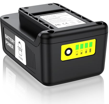 Batterie LabTEC 18 V pour Kärcher, Batterie Lithium-ION Compatible avec Tous Les appareils Kärcher 18 V, avec indicateur de Niveau de Charge à LED