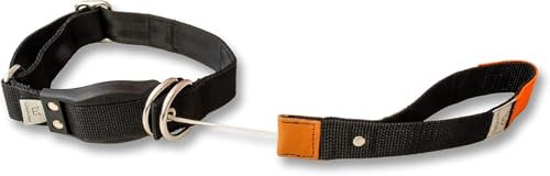 WowWow Professional Hundehalsband mit Leine - schwarz - Größe S 33-37 cm, 185g leicht, innovatives Halsband mit integrierter Leine - bekannt aus der Höhle der Löwen