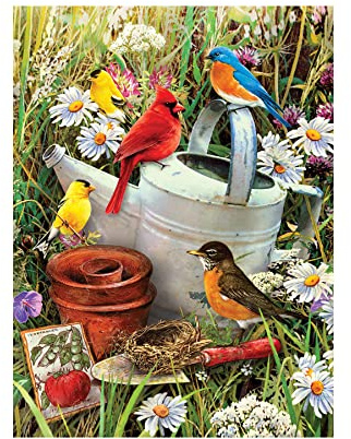Pracht Creatives Hobby Royal & Langnickel - Malen nach Zahlen Junior Vögel, enthält Farben und Pinsel, für Erwachsene und Kinder ab 8 Jahren