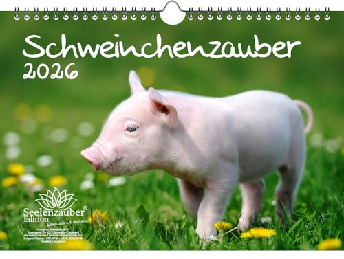 Schweinchenzauber DIN A4 Kalender für 2026 Schweine Schweinchen - Geschenkset Inhalt: 1x Kalender, 1x Weihnachtsanhänger (insgesamt 2 Teile)