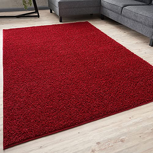 THE RUGS Living Room Rug - Shaggy Soft And Elegant Carpets For The Bedrooms And Kitchen, Easy To Clean, Many Different Sizes (60x110 cm, Red)