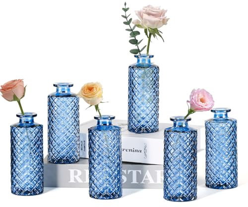 Sawoake Kleine Vasen, 6 Stück Glasvasen für Tischdeko Mini Vasen Glasfläschchen für Zuhause, Hochzeiten, Geburtstage, Feste (Blau Diamant)