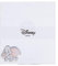Valenti&Co – Disney Baby – Dumbo – Bilderrahmen aus Plexiglas mit silberfarbenen Applikationen in 3D-Farben, ideal als Dekoration für Kinderzimmer (20 x 18 cm)