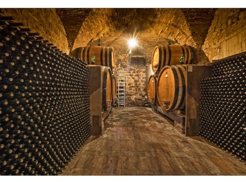 YongFoto 3x2,5m Vinyle Photographie Toile de Fond Cave ?vin souterraine Barils en ch?e Bouteilles ?Helle Plancher de Bois Grunge Fond de Studio Photo vidéo Photo Shooting