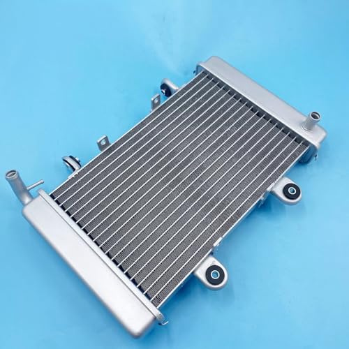Radiateur Compatible avec Shineray pour ST-9E pour Stixe 250CC ATV Quad de réservoir Refroidissement à Eau Pièces de Moto