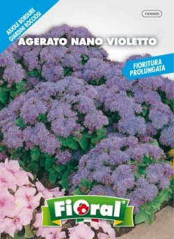Sementi da fiore di qualità in bustina per uso amatoriale (AGERATO NANO VIOLETTO)