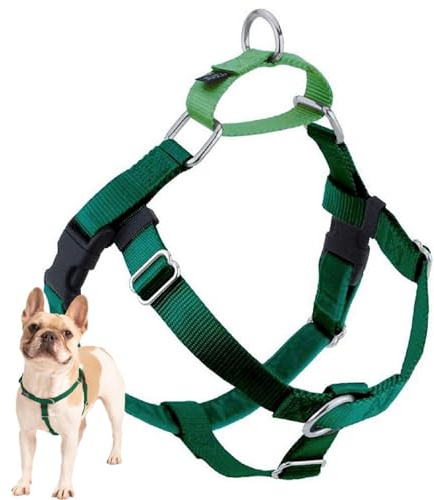2 Hounds Design Freedom No-Pull No Leash Harness Only, 1-Inch, Large, Kelly Green