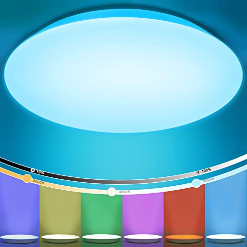 LED Deckenleuchte Dimmbar mit Fernbedienung, 24W Deckenlampe RGB Farbwechsel Rund, Flimmerfrei LED Leuchte, IP54 Wasserfest für Badezimmer Wohnzimmer Schlafzimmer Kinderzimmer, Ø30cm