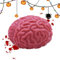 Squeeze Ball Brain, Soft Glue Brain Squeeze Balls, Realistic Fake Organ, Brain Stress Relief Toy, Brain Stress Ball for Promotes Healthy Den, Squeeze Toy