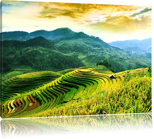 Pixxprint Reisfelder in Vietnam, Größe: 80x60cm, Leinwandbild, fertig gespannt, Wandbild, Dekoration, Kunstdruck, kein Poster