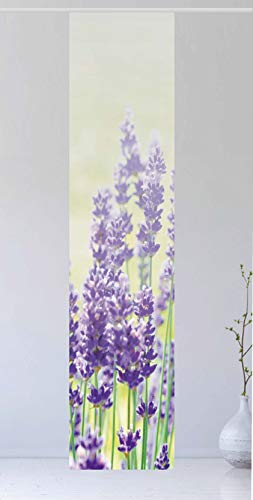 Flächenvorhang Der Lavendel Tone, 260 cm hoch, 60 cm breit - Schiebevorhang - Schiebegardine, Tolles Naturmotiv - Ruhe - Entspannung