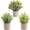 homEdge Künstlicher Mini-Eukalyptus, 3 Packungen künstliche Kunststoffpflanze mit Topf für Zuhause, Büro, Schreibtischdekoration