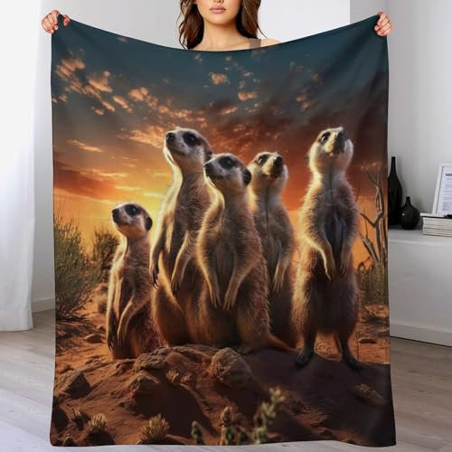 PAZZK BettDecke 100% Flannel, Erdmännchen 3D-Digitaldruck Kuscheldecke, Decke, Weich Wohndecke, Sofadecke Für Kinder Jungen Erwachsene Vier Jahreszeiten（150×200cm）