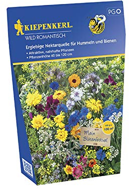 Blumenmischung Schachtel wild romantisch