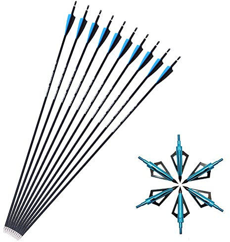 SHARROW 12x Carbonpfeile 30 Zoll Bogenpfeile Jagd Pfeile für Bogen Spine 500 für Recurvebogen Compound Bogen (Blau+12pcs Broadhead)