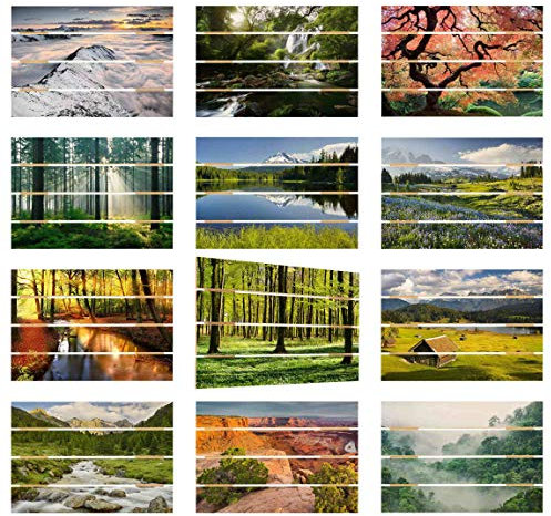 Holzbild Landschaften & Wälder - Bergwiese Blumen vor Mt. Rainier 48 x 70cm