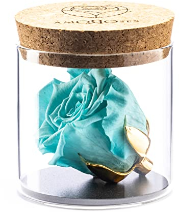 Amoroses Bijou - Rosa Stabilizzata Eterna con calice placcato oro 24K in barattolo di vetro | Idea Regalo (Rosa Azzurro Tiffany)
